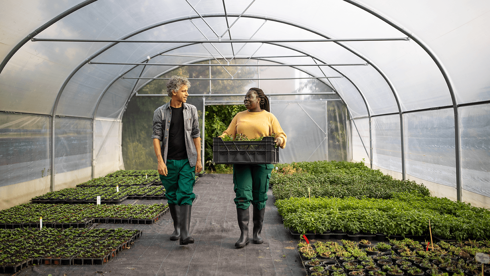 Small Business Retirement Plans
