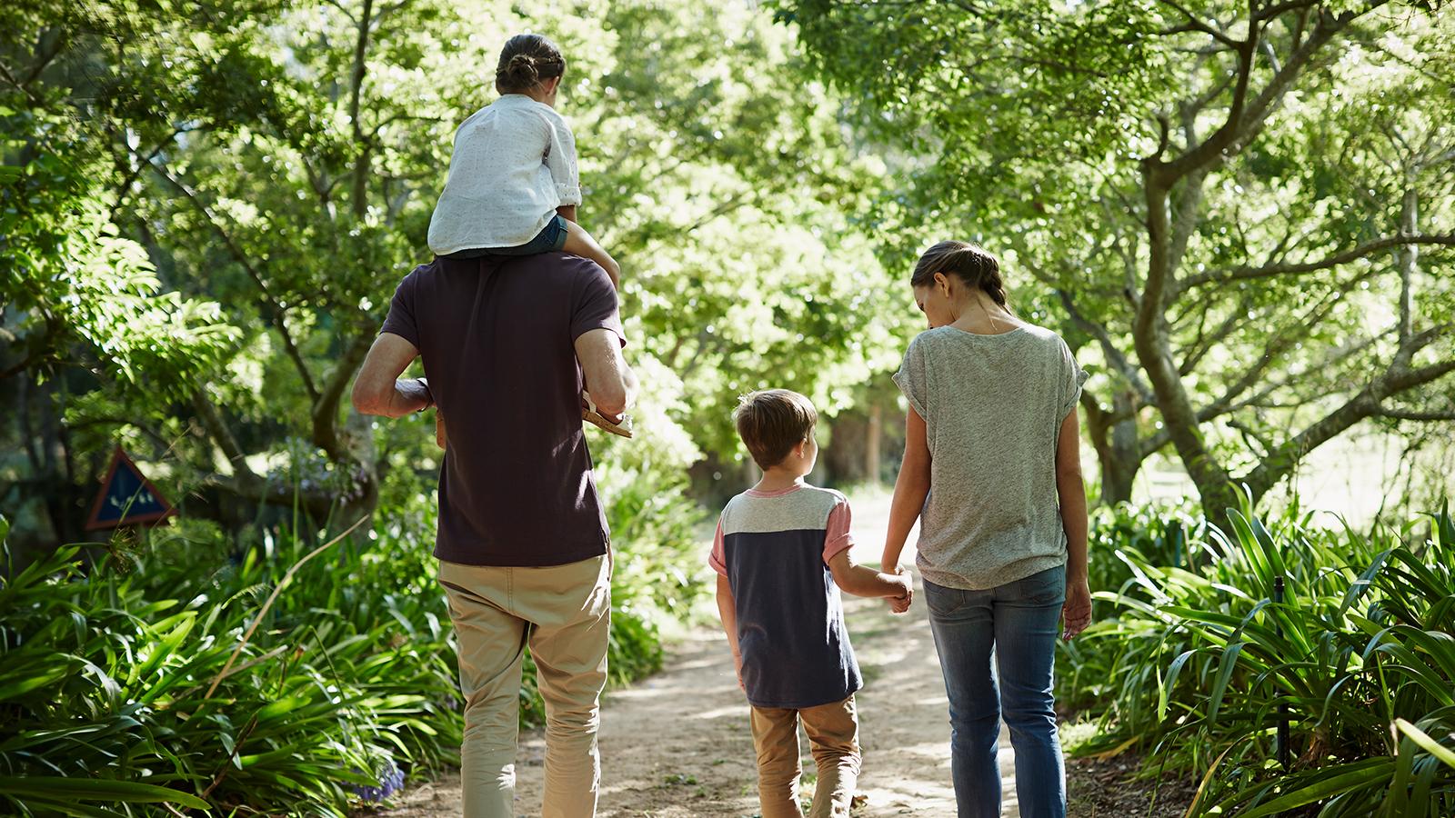 Family walking in the forest