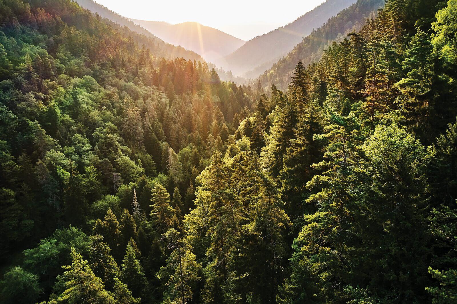 Presidents Council splash photo