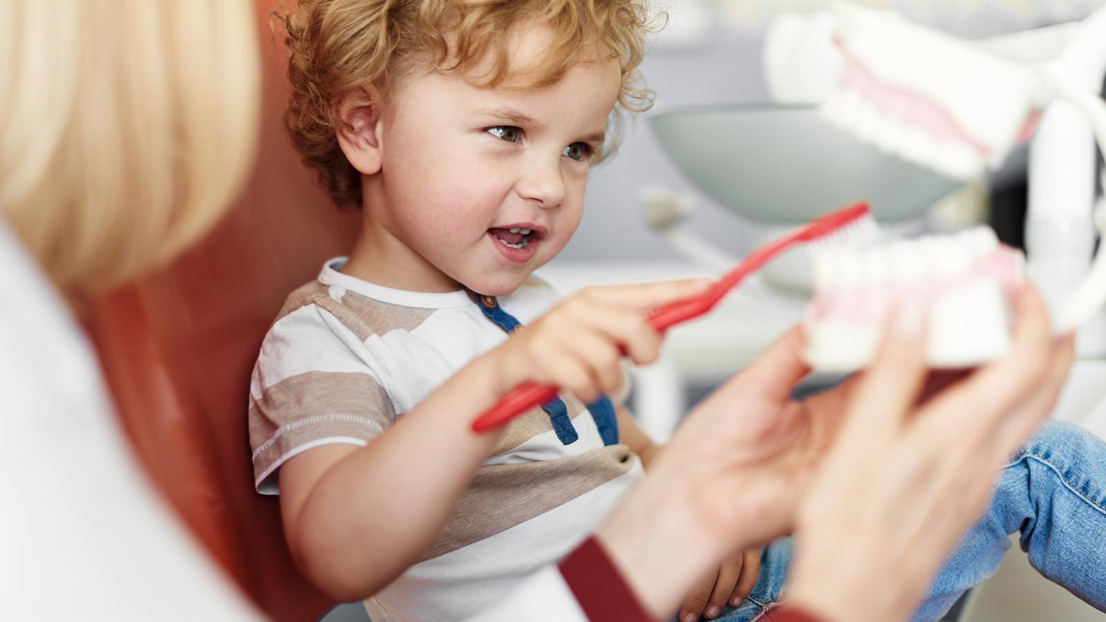 Dentist showing a little boy how to brush his teeth. Dentist showing a little boy how to brush his teeth.