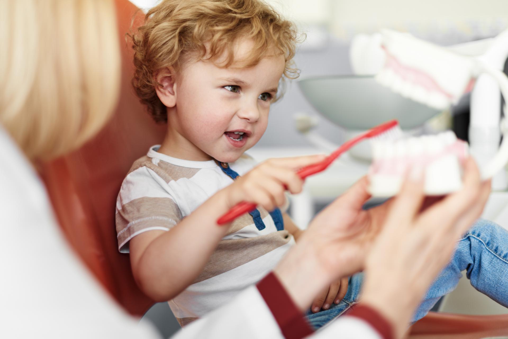 Dentist showing a little boy how to brush his teeth. Dentist showing a little boy how to brush his teeth.
