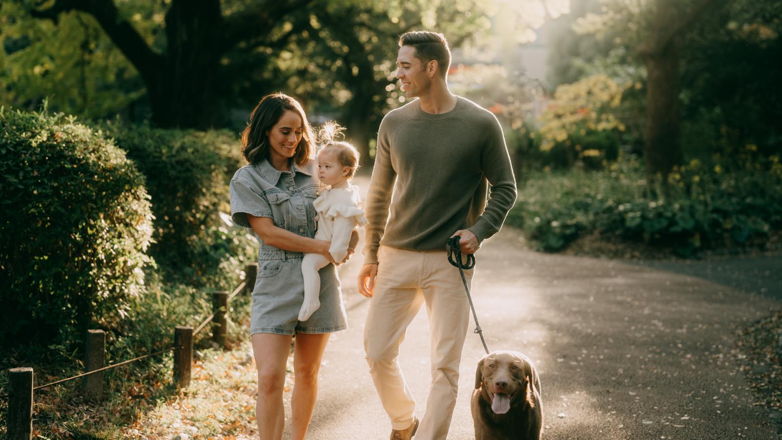 Family with baby and dog walking in park at sunset