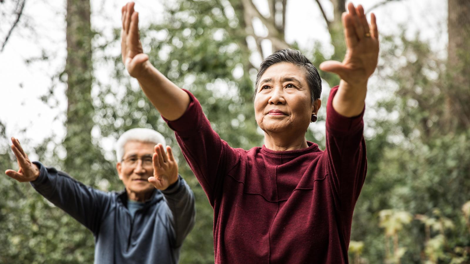Senior couple doing tai chi outdoors