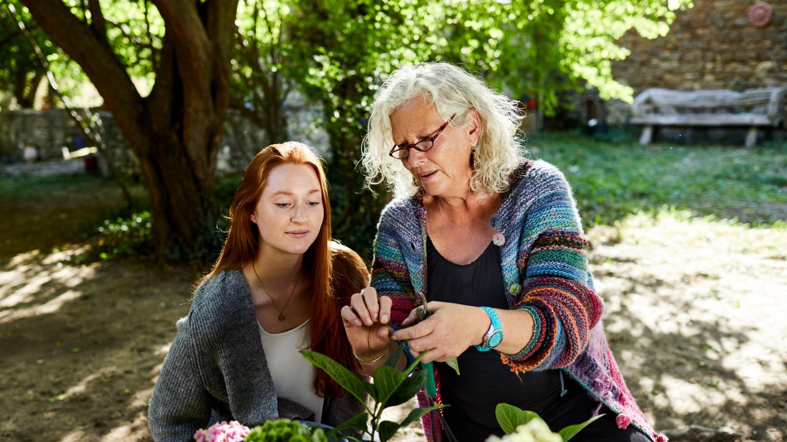 Senior woman and young woman examining flower in garden