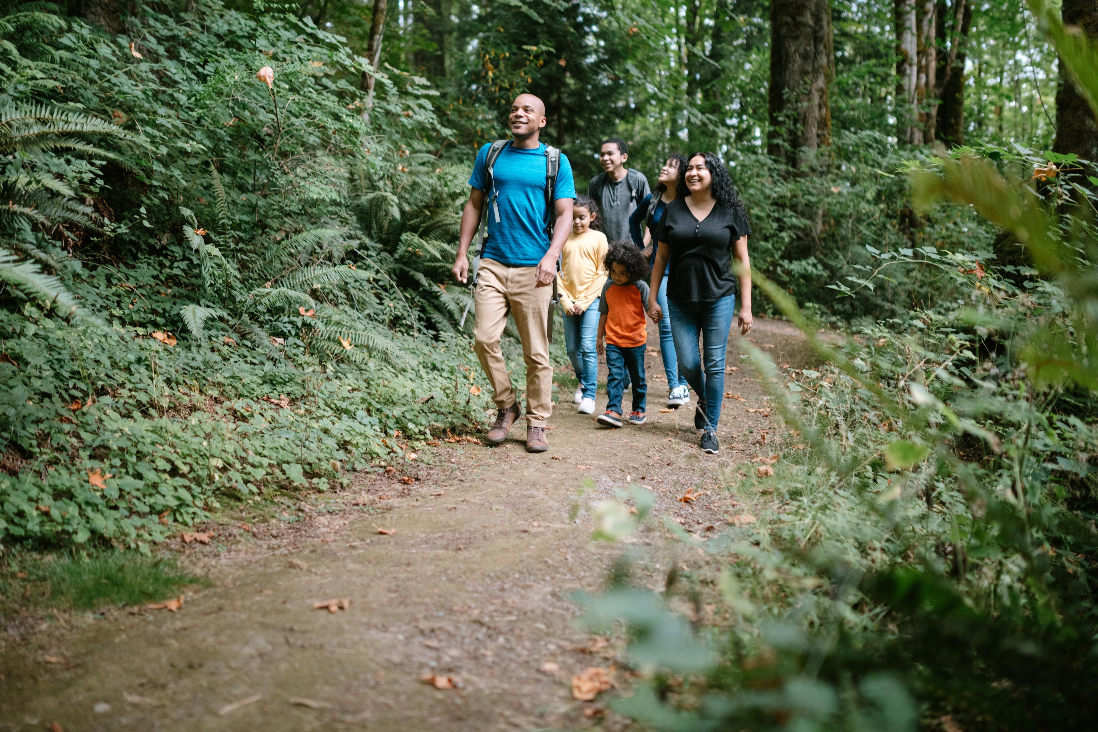 Family walking along a trail with trees around them.