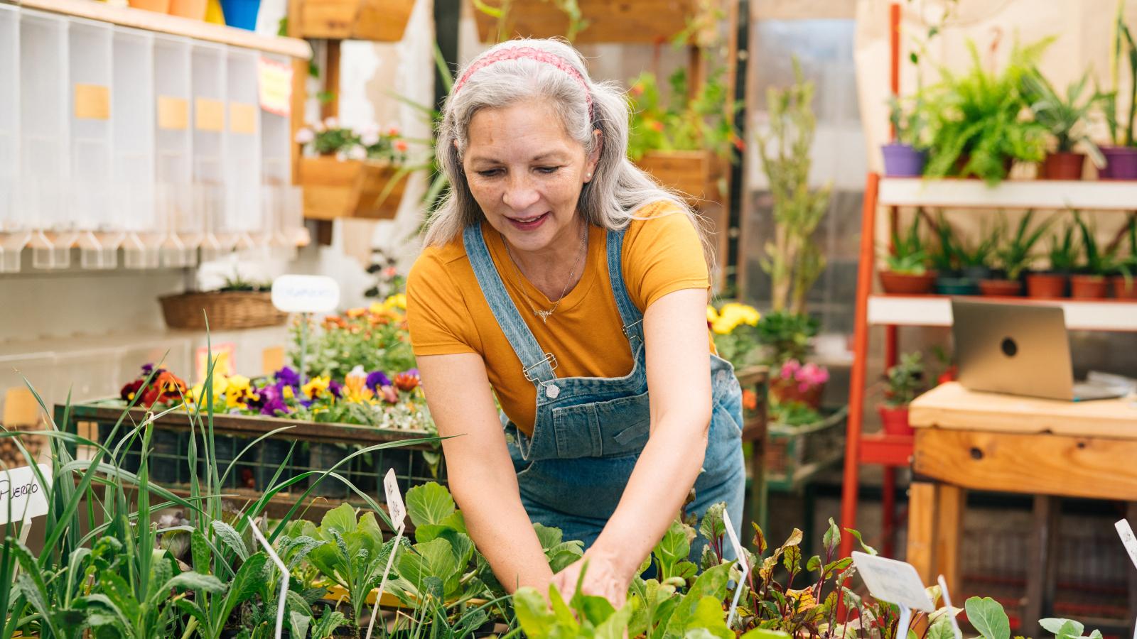 How to Use Life Insurance in Your Retirement Strategy