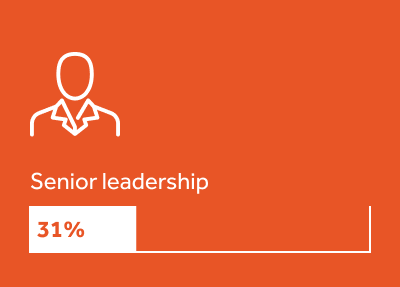 Senior leadership, 31%