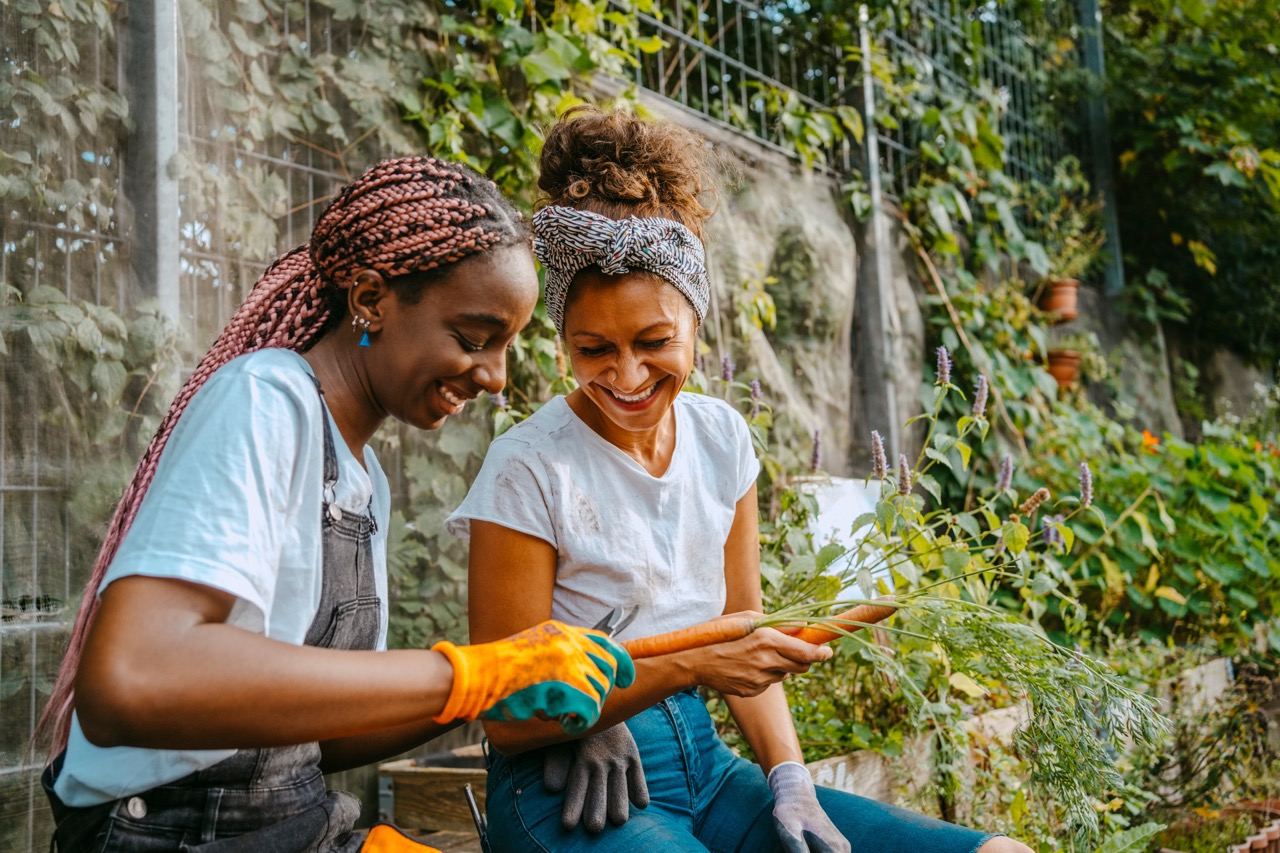 Two friends in their 20's work in a garden together. They're dressed in tee shirts, holding freshly pulled carrots.